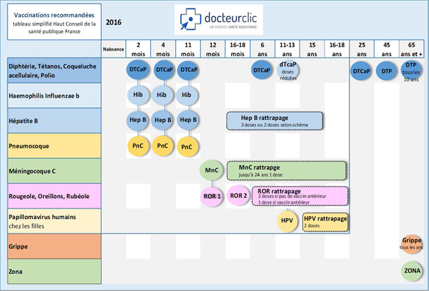 Calendrier des vaccinations (adultes) : définition - docteurclic.com