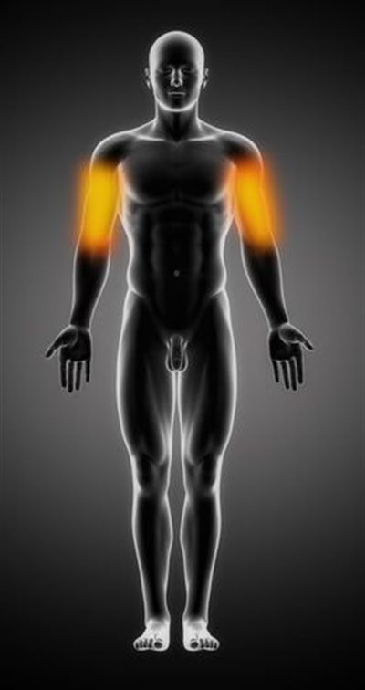 Douleur du bras : symptômes, traitement, définition 