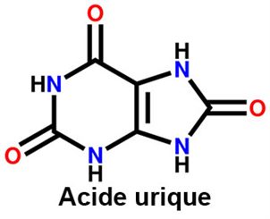 molécule d'acide urique