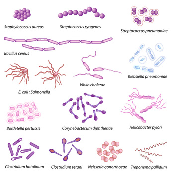 Definition pathogene