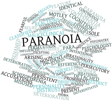 paranoid meaning