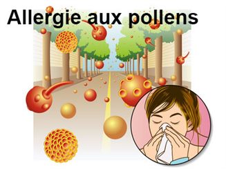 allergie aux pollens